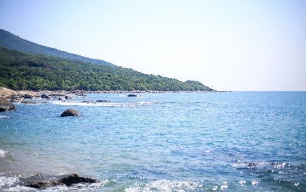 现在到南方的东北人越来越多,来南方的东北人