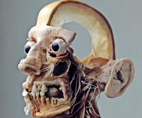 美国尸体博物馆令人毛骨悚然,曾是人体解剖和