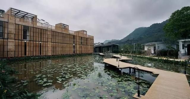 从废弃小学到绝美民宿！千亩稻田环绕、山泉水无边泳池，这间酒店