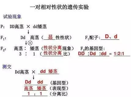 t01a1b82caf77cbe856.jpg