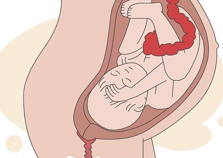 临近分娩时为什么胎儿都是头朝下? 答案很暖心