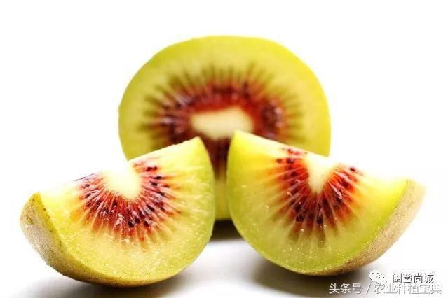 红心?黄心?绿心 ?什么样的猕猴桃最好吃