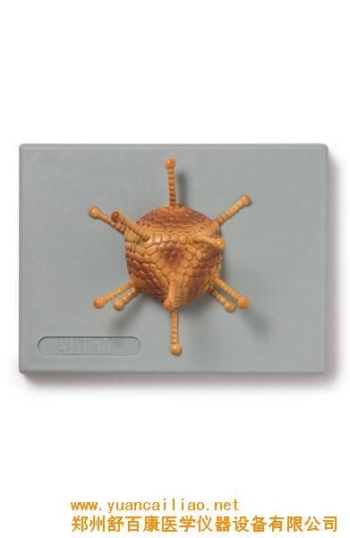 商贸公司注册流程