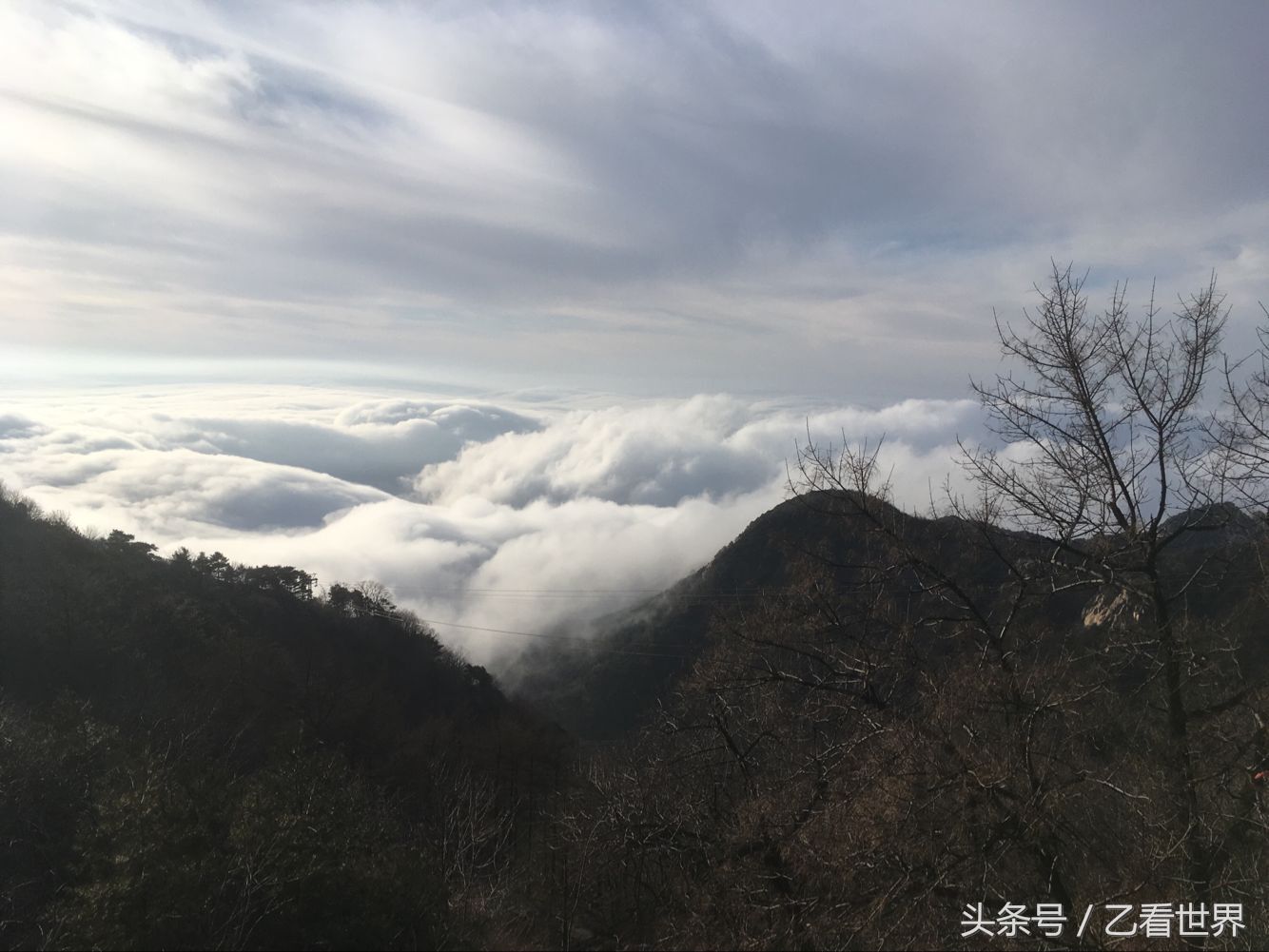 春游泰山,我们看到的云海是泰山四大奇观之云