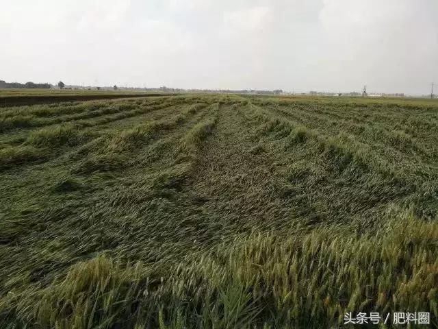 一场冰雹凉了农民的心，今日天气如何？