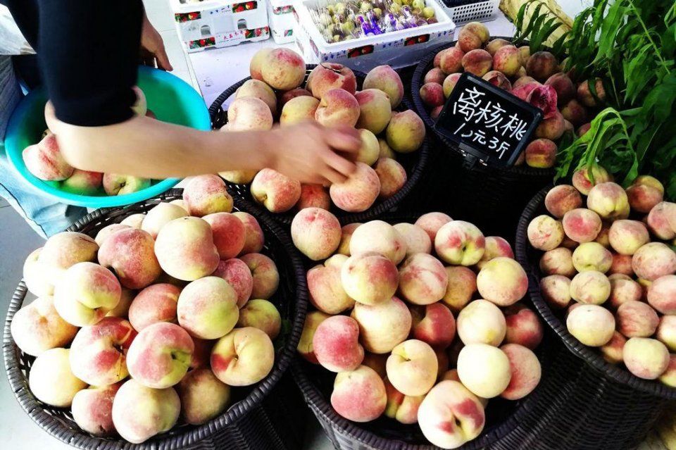 离核桃10元3斤 鲜枣一盒3斤100元 水果店水果