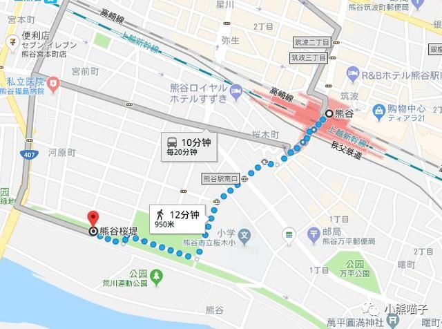 还在烦恼去哪看樱花?你绝对不可错过的9大赏樱圣地!