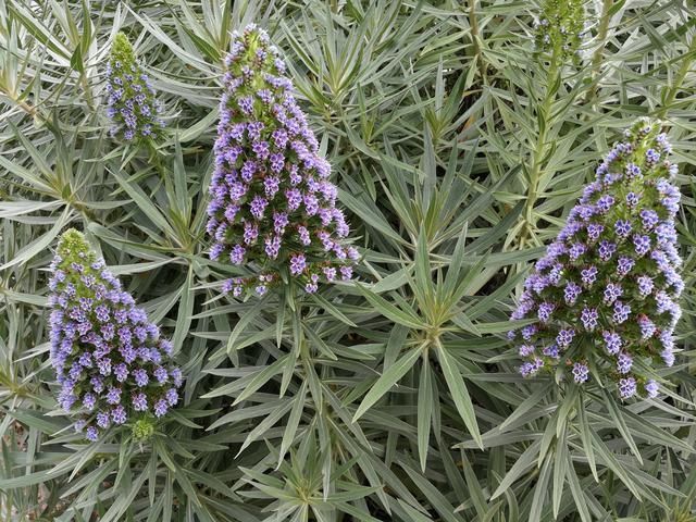 满世界的都在做金融、卖房子、卖保险,钱都去