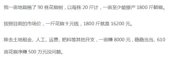前景巨大!种植大户600亩花椒,赚500万!到底是怎么做到的?
