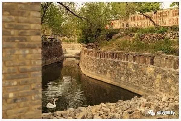 清明小长假峰峰又火了！强势霸屏多家媒体！