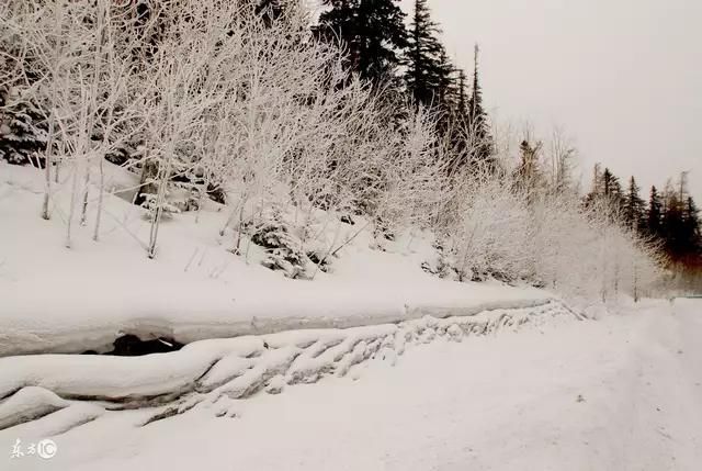 日本大雪，最厚地方达三米，天气恶劣成灾