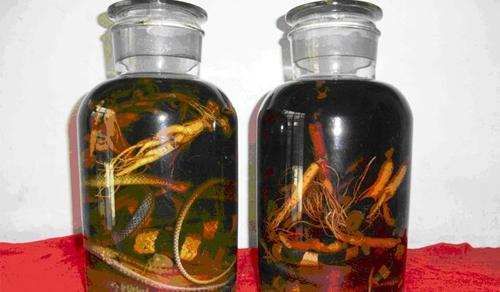 泡蛇酒用什么药材最好 用蛇泡酒有什么好处