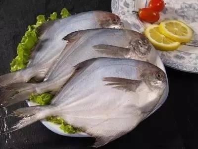 海南渔民整理的海鲜大全 ，以后不怕不认识海鲜了，赶紧收藏!