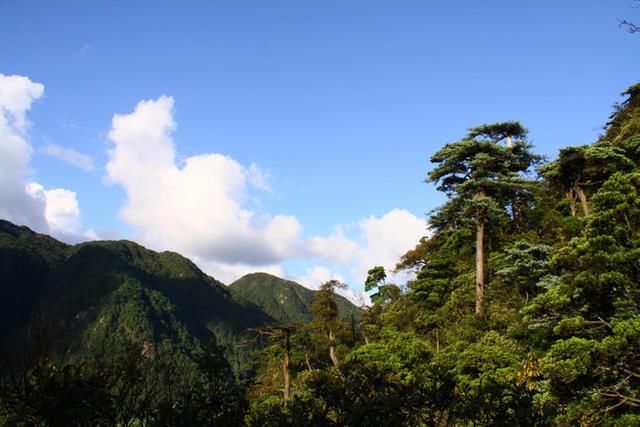 莽山国家森林公园风光