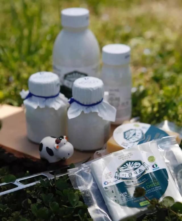 五一四天假期,济州岛高性价比亲子游推荐!