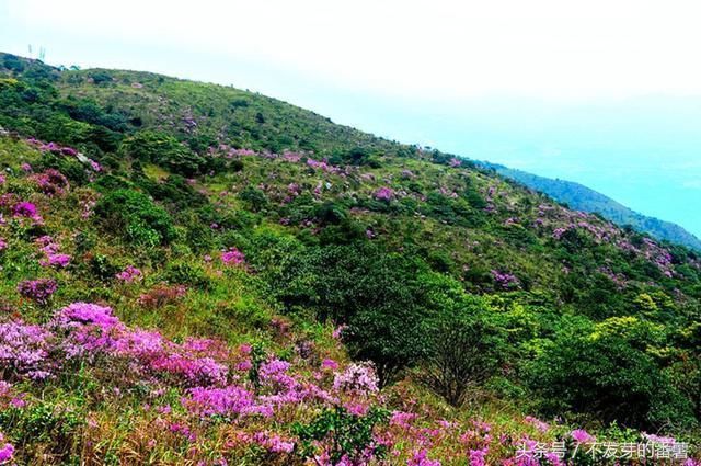 广东4个经济强县,实力排名全省最高,房价却都