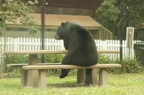 搞笑GIF:挤完地铁之后,我的裤子就变这样了 搞笑GIF:挤完地铁之后,我的裤子就变这样了