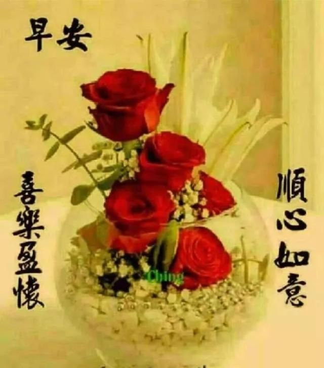 早上好各种图片