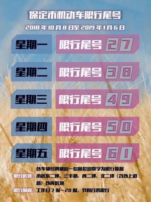 保定微信运营,保定微信运营公司