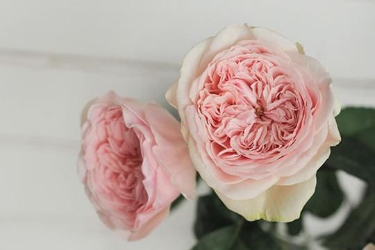 t01a433ed91b8aeabf9.jpg