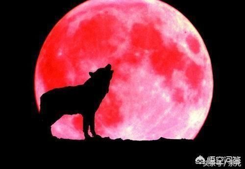 什么是血月之灾?历史这些大灾事件难道是巧