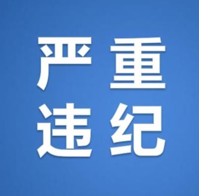 昆明市嵩明县原县委常委、常务副县长李正德严重违纪被“双开”