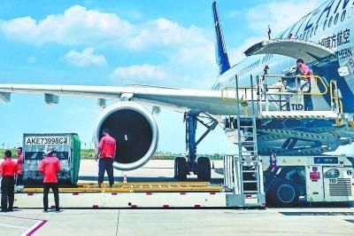 鄂产小龙虾飞迪拜镀金,身价猛增每公斤售价7