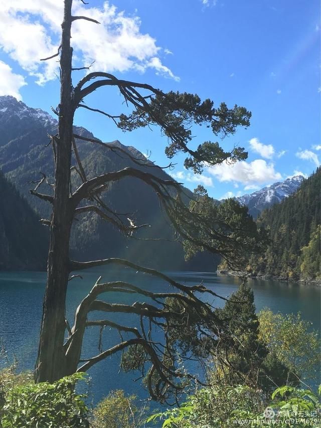 醉美九寨，不灭的神话(二)纪念逝去的火花海，诺日朗瀑布