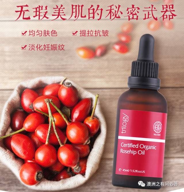 t01a52cb69be669a9bf.jpg