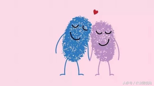 农村常说:一斗穷，二斗富，三斗四斗卖豆腐，什么意思?