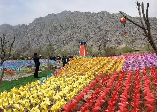 大美宁夏，火热盛夏来临，一起走进大自然~