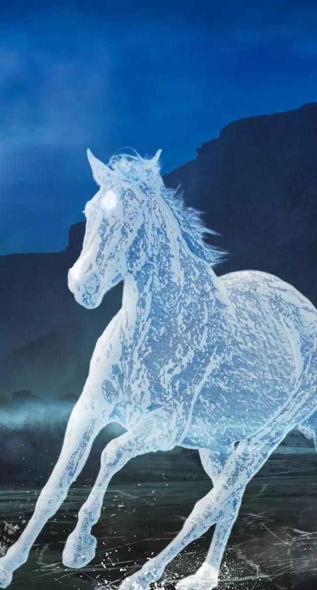 美丽的风景不在