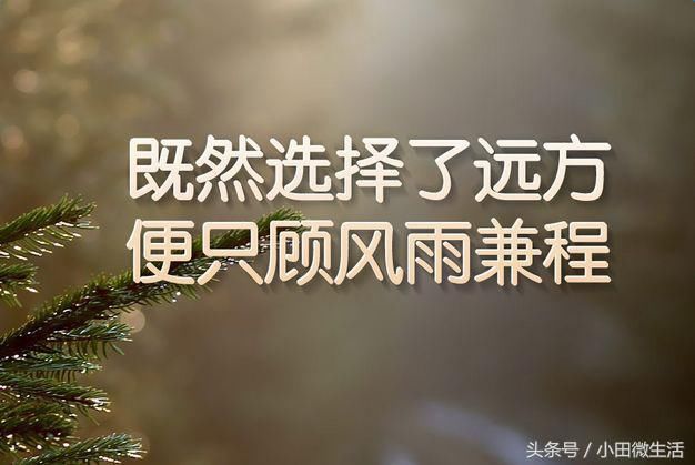 2018高考祝福语经典语录,高考祝福语简短为考