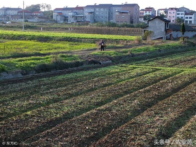 土地确权，过程中有疑问咋办？