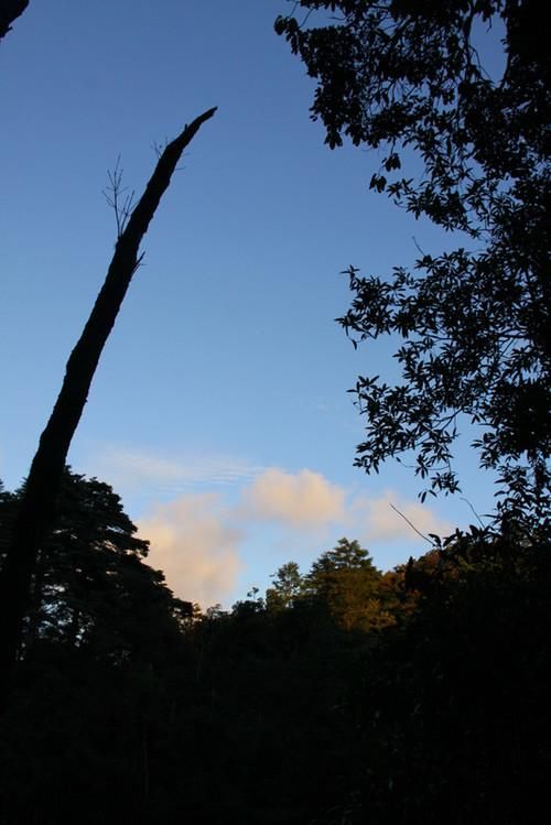 莽山国家森林公园风光