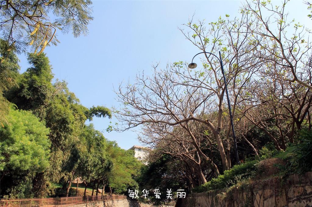 厦门市十五届人大五次会议