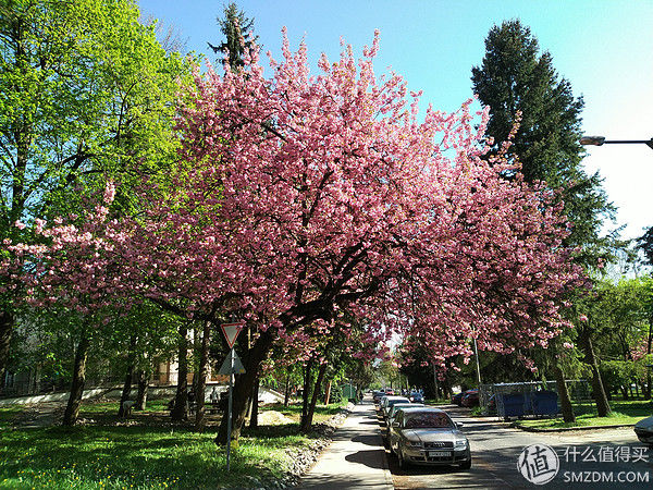 毕业旅行之欧洲篇 篇一:我在匈牙利搬砖,顺便分享美景