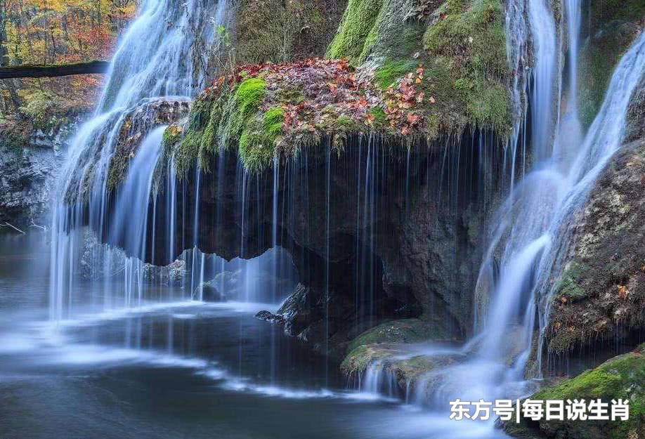 狗年财运旺,不缺钱!元宵后3大生肖转运,桃花喜事财源滚滚!