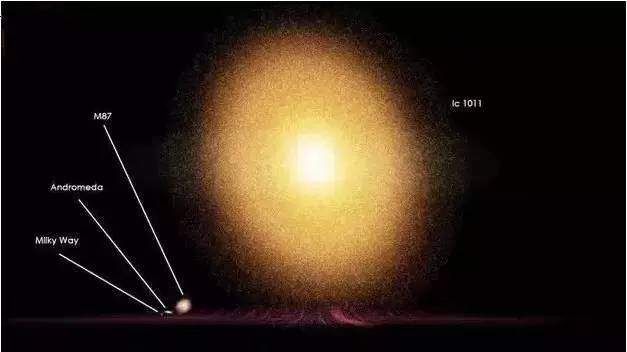 你根本不了解这个星球:地球上曾活过1150亿人