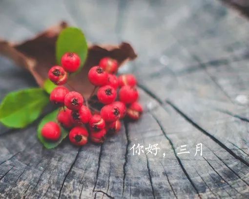 三月份桃花运最好的生肖?