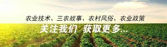 2018年农村这四大补贴农民们可以申请了！耕地保护每亩补助25元