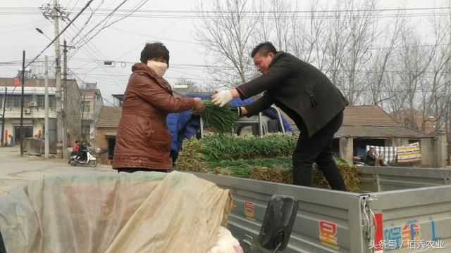 农村人今年又赚钱了，为了赶上好行情，春节都没顾得过！