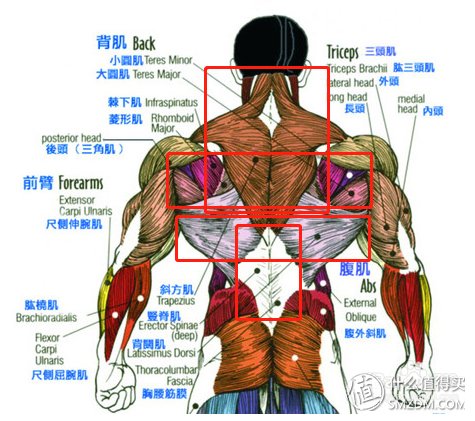 二丁目的健身日记 篇一:打造钢铁般的背部肌肉，不妨看看这篇文章