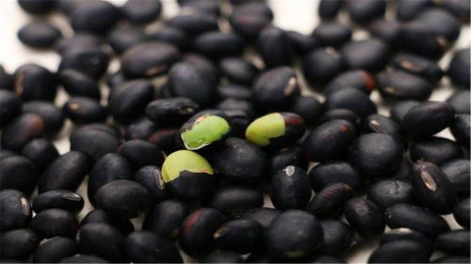 黑豆这样吃 人参鹿鞭靠边站 连续吃5天重振男
