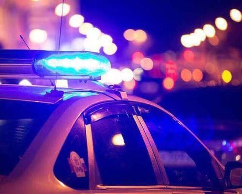 假冒注册商标罪