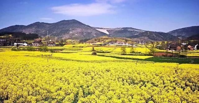 清明买不上票？各主题列车带你游全国！