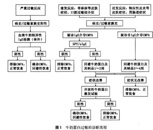 商标注册号在哪里看