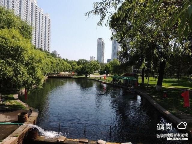 游佳木斯杏林湖公园