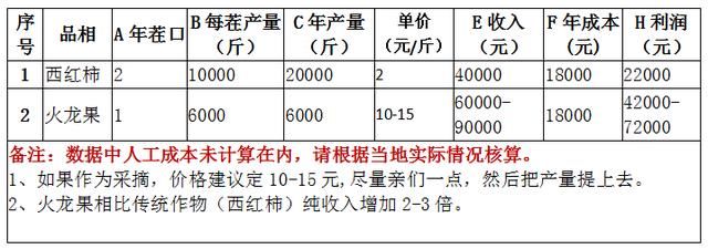 谁说北方不能种植火龙果，北方种植更赚钱！