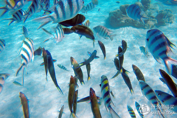 头脑一热，去马来西亚热浪岛了